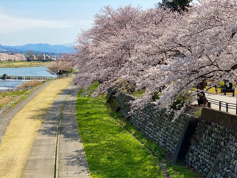 石川の国保 Vol.384