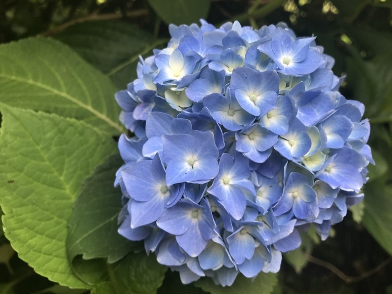 石川の国保 Vol.385