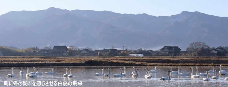 石川の国保 Vol.412