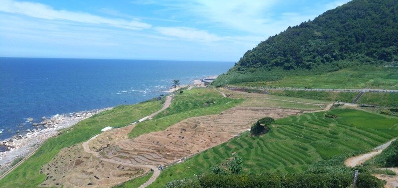 石川の国保 Vol.416