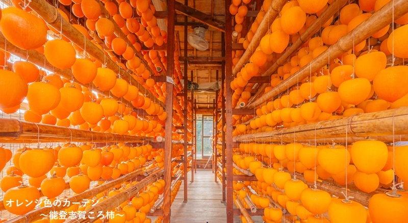 石川の国保 Vol.418