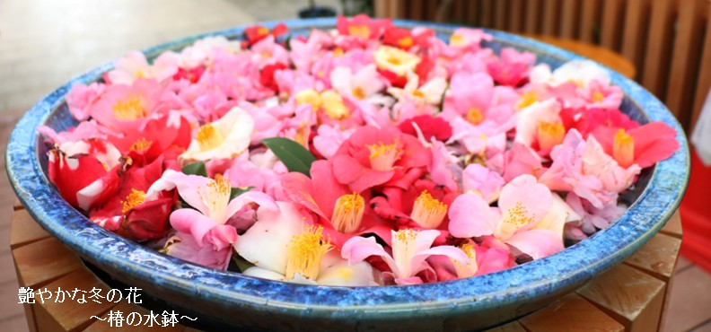 石川の国保 Vol.419