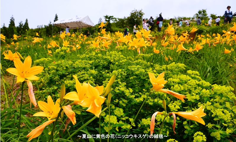 石川の国保 Vol.421